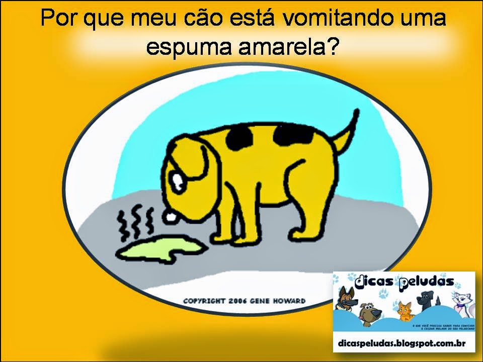 diarreia liquida amarela o que comer